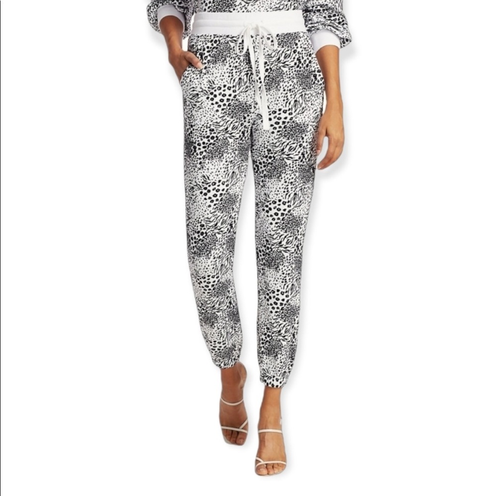 NEW Joie Tempest Pants XXS